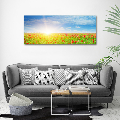 Wall art acrylic Mak field