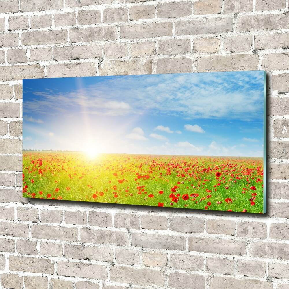 Wall art acrylic Mak field