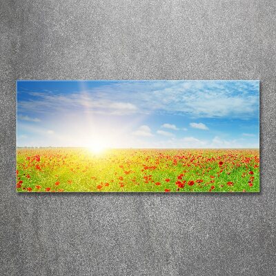 Wall art acrylic Mak field