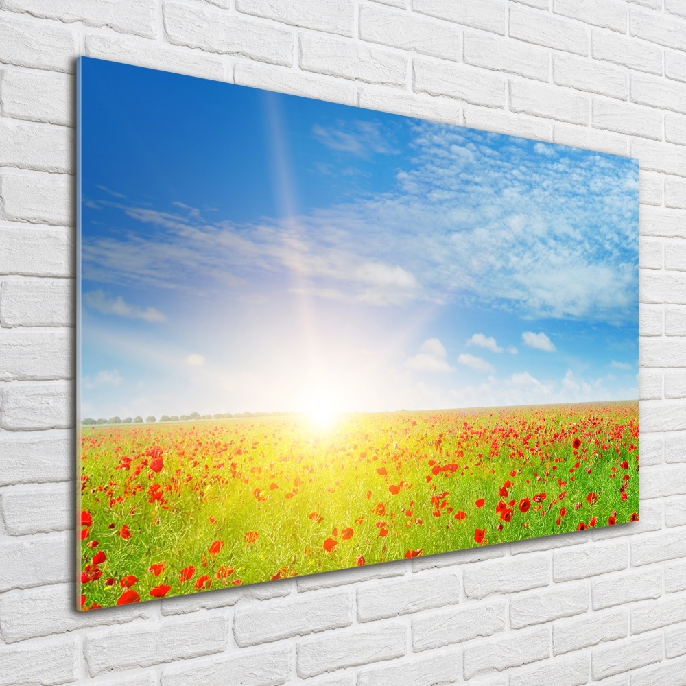 Wall art acrylic Mak field