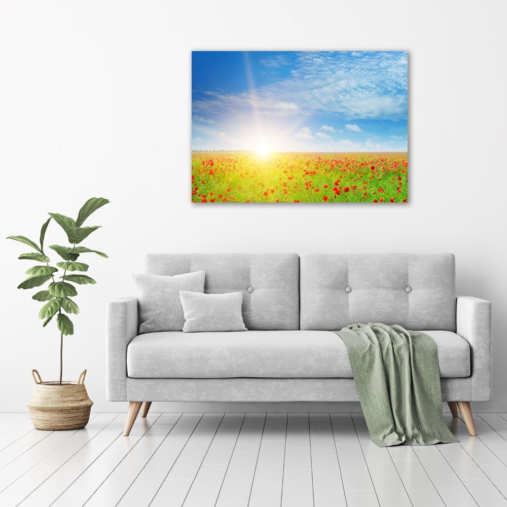 Wall art acrylic Mak field