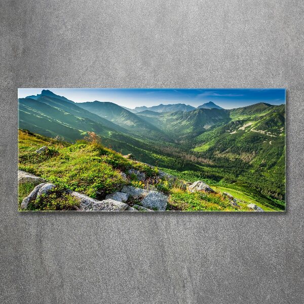 Wall art acrylic Dawn in the Tatra Mountains