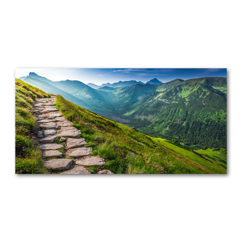 Wall art acrylic Path in the Tatra Mountains