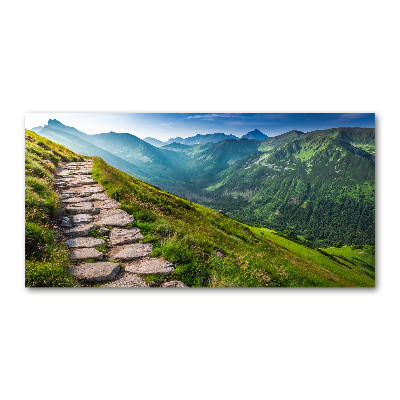 Wall art acrylic Path in the Tatra Mountains