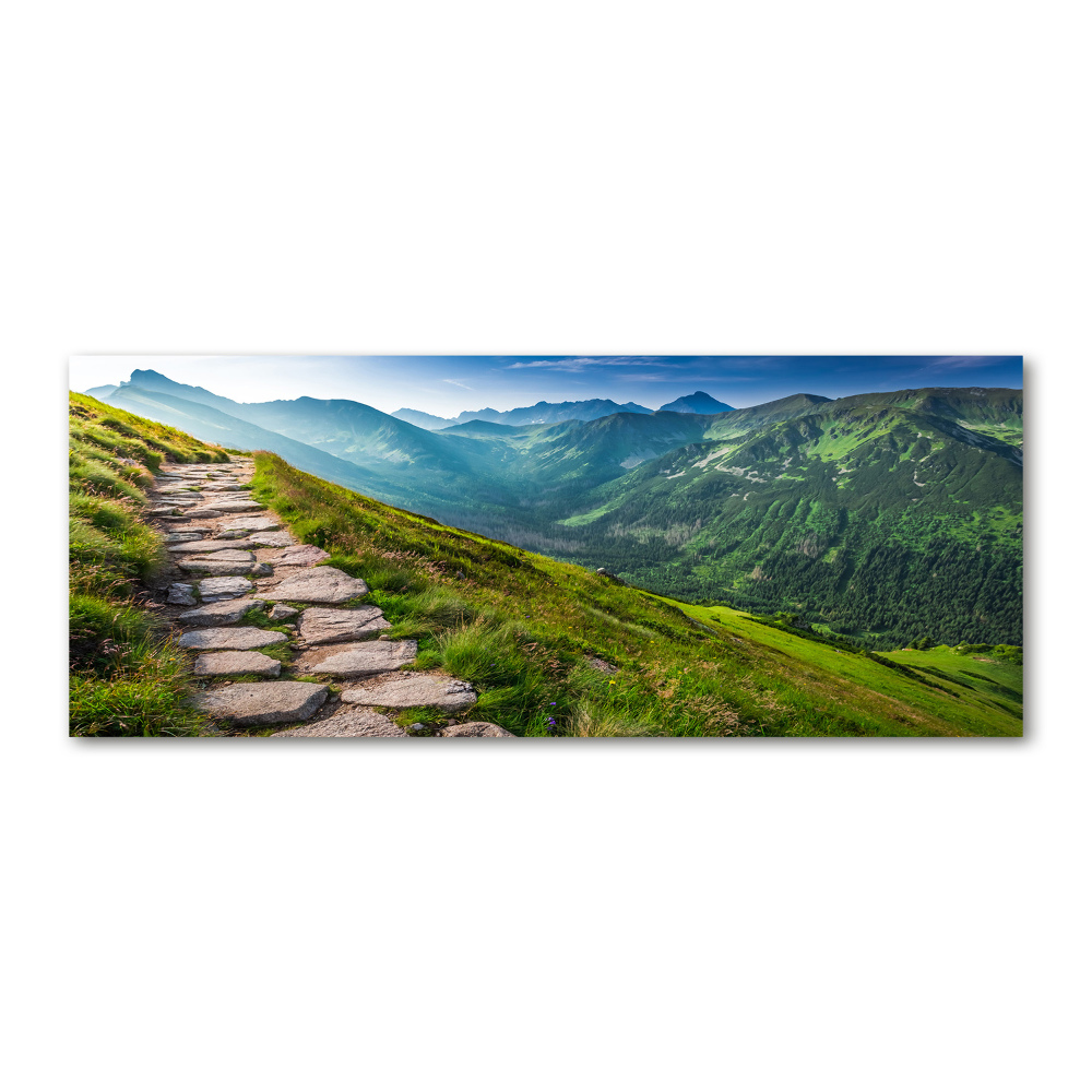 Wall art acrylic Path in the Tatra Mountains