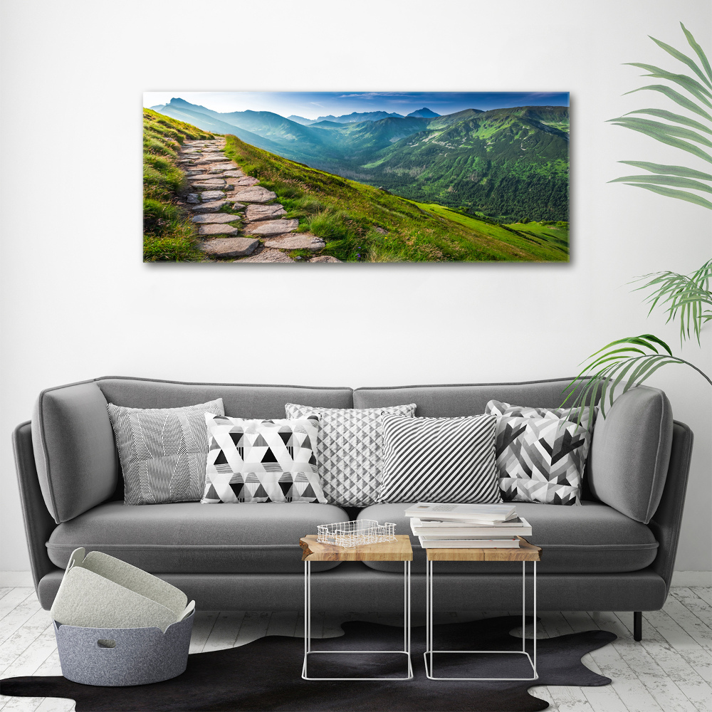 Wall art acrylic Path in the Tatra Mountains