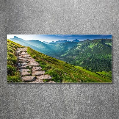 Wall art acrylic Path in the Tatra Mountains