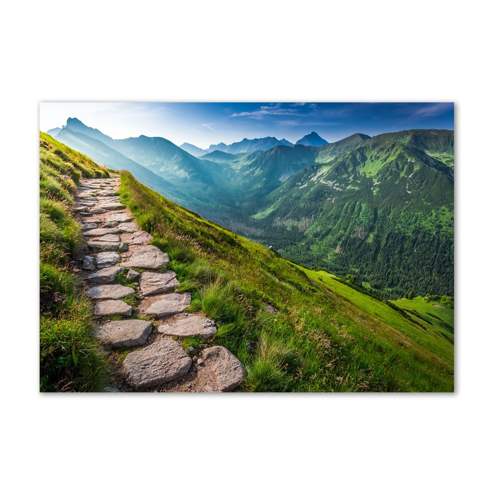 Wall art acrylic Path in the Tatra Mountains