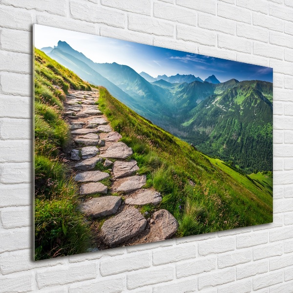 Wall art acrylic Path in the Tatra Mountains