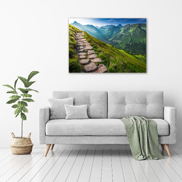 Wall art acrylic Path in the Tatra Mountains