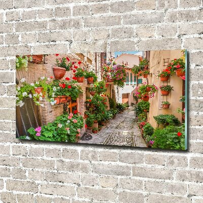 Wall art acrylic Italian streets