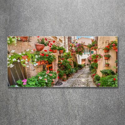 Wall art acrylic Italian streets