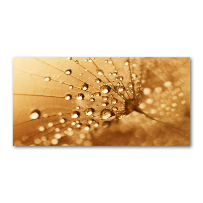 Wall art acrylic Dandelion