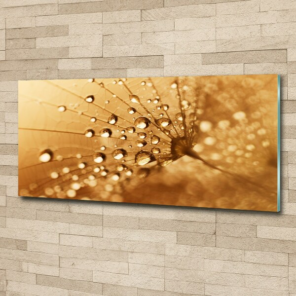 Wall art acrylic Dandelion