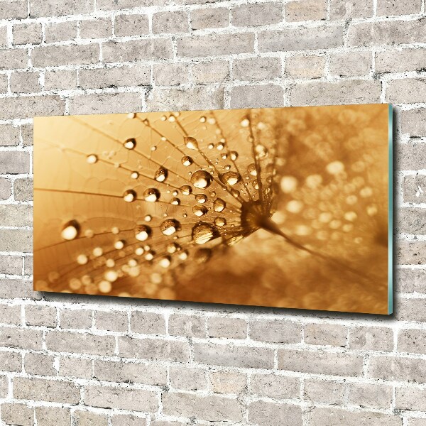 Wall art acrylic Dandelion