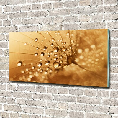 Wall art acrylic Dandelion