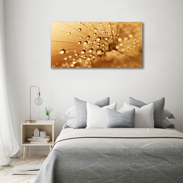 Wall art acrylic Dandelion