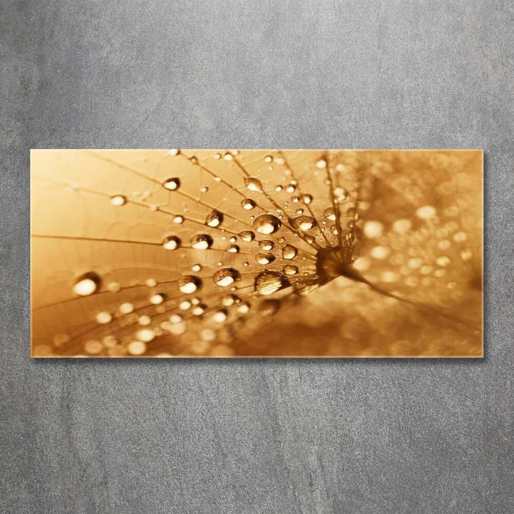 Wall art acrylic Dandelion