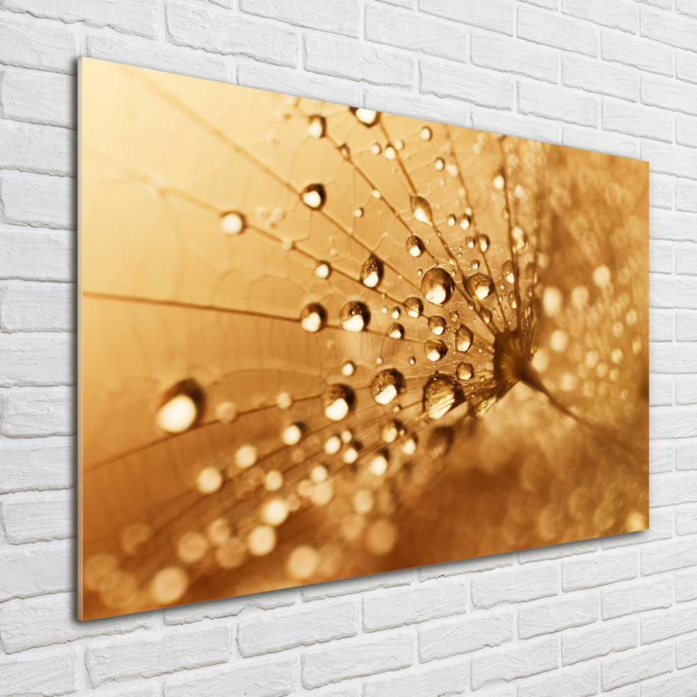 Wall art acrylic Dandelion