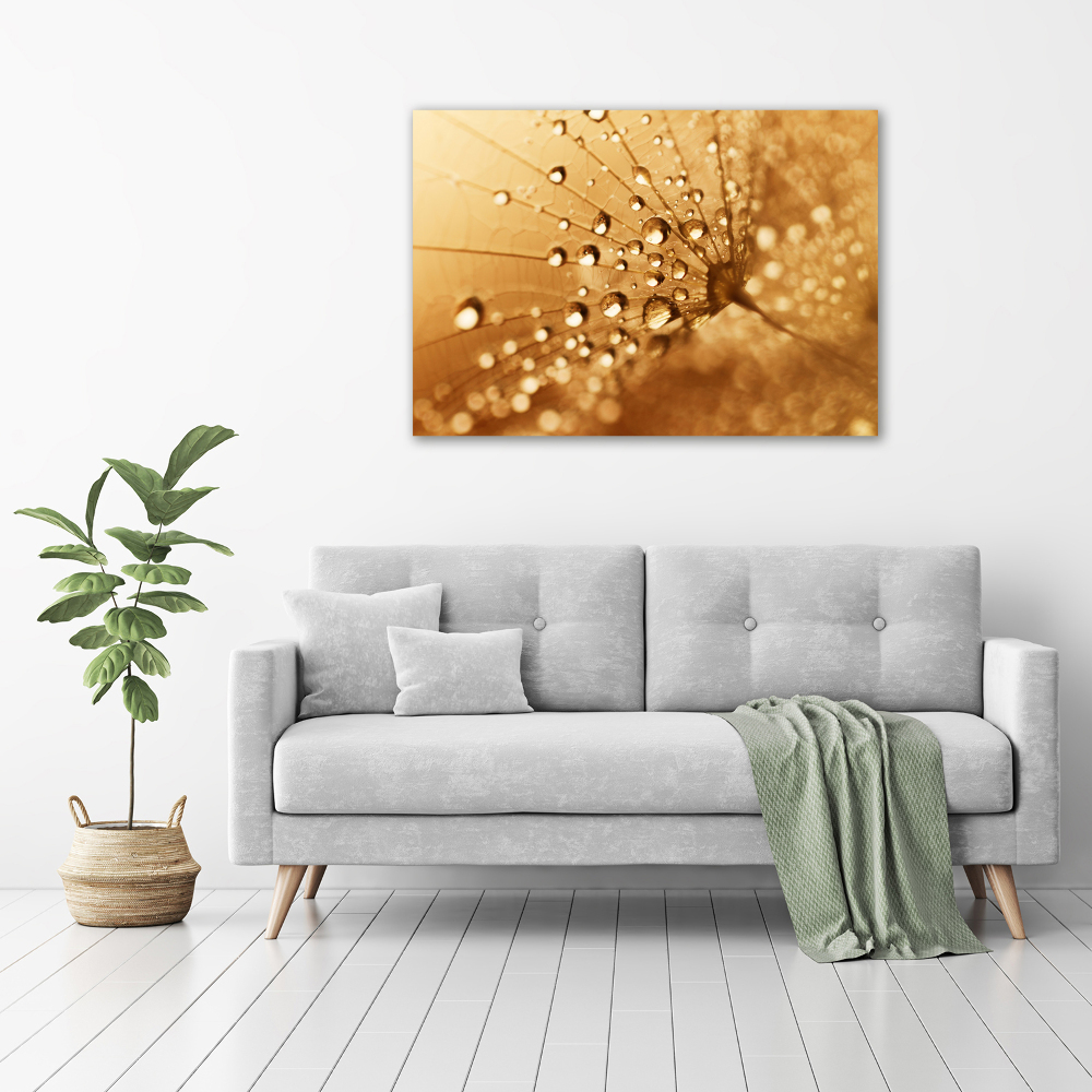 Wall art acrylic Dandelion