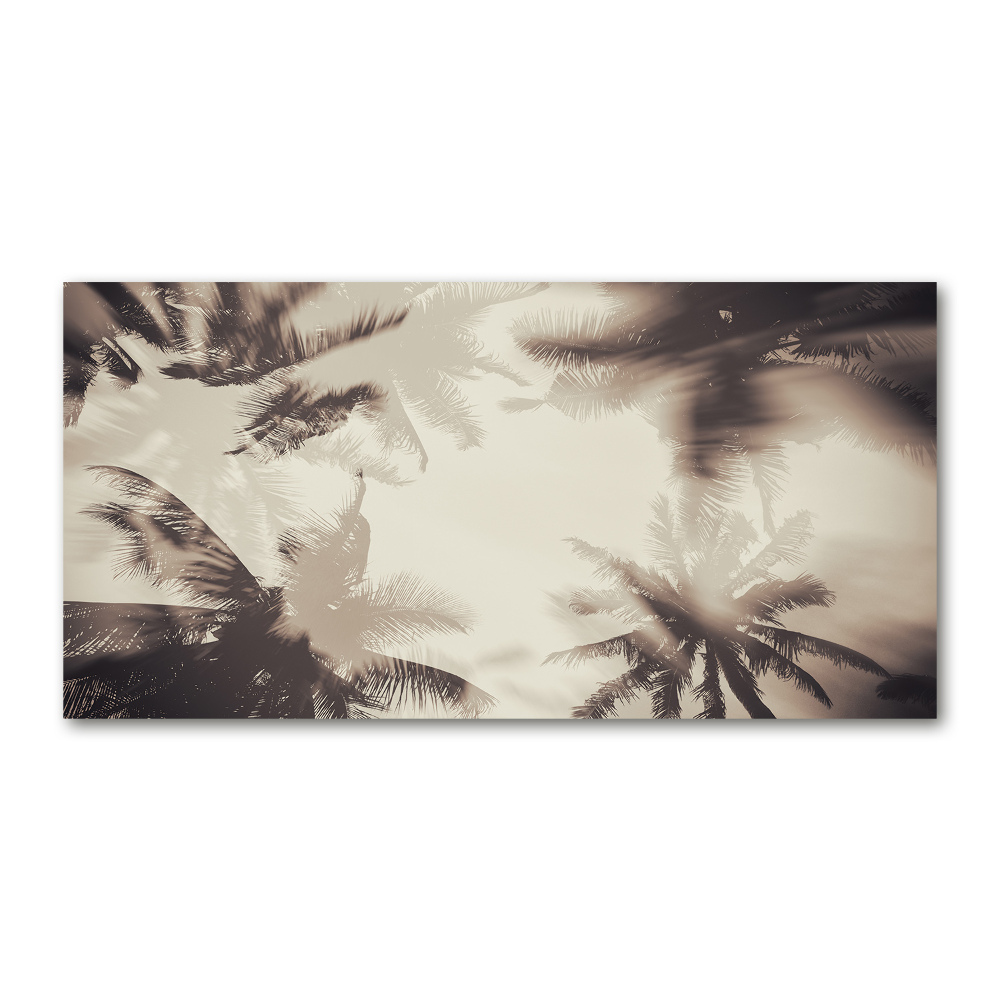 Print on acrylic Palm trees