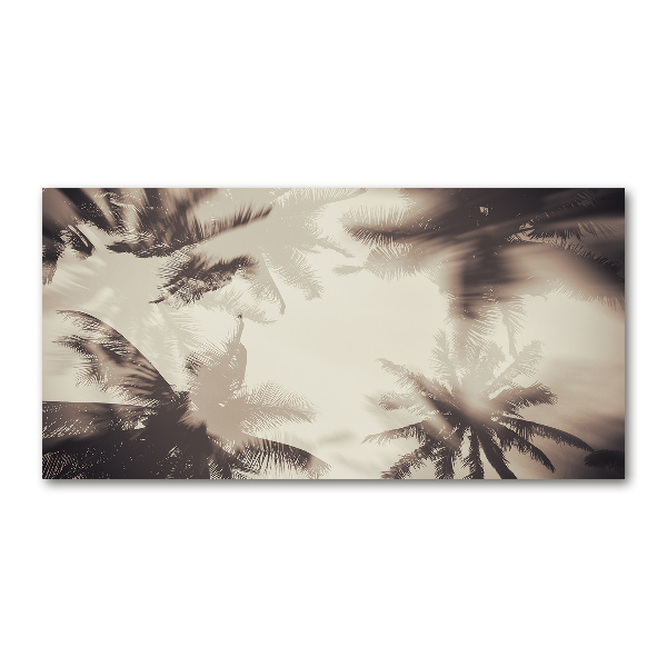 Print on acrylic Palm trees