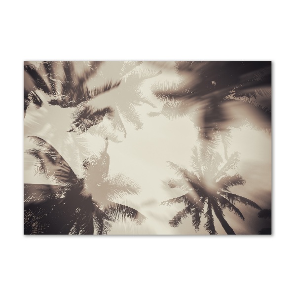 Print on acrylic Palm trees