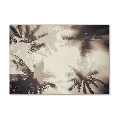 Print on acrylic Palm trees