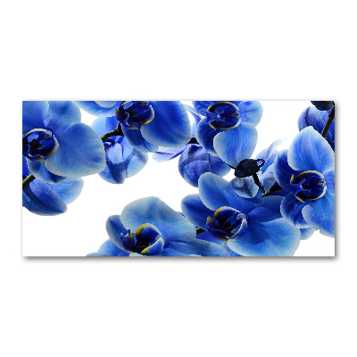 Print on acrylic Blue orchid