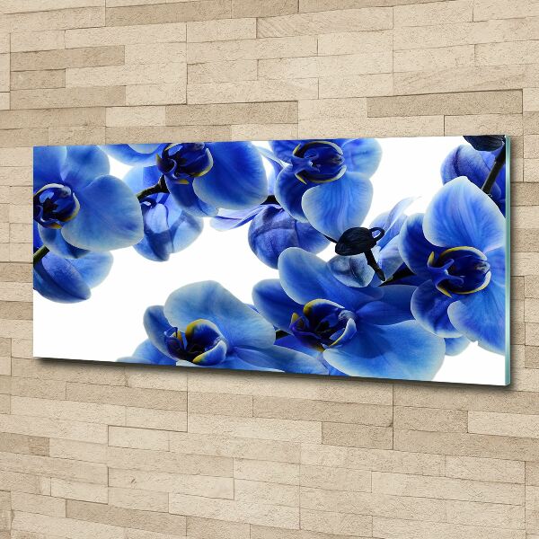 Print on acrylic Blue orchid