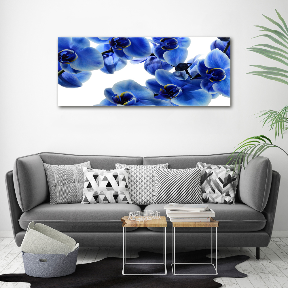 Print on acrylic Blue orchid