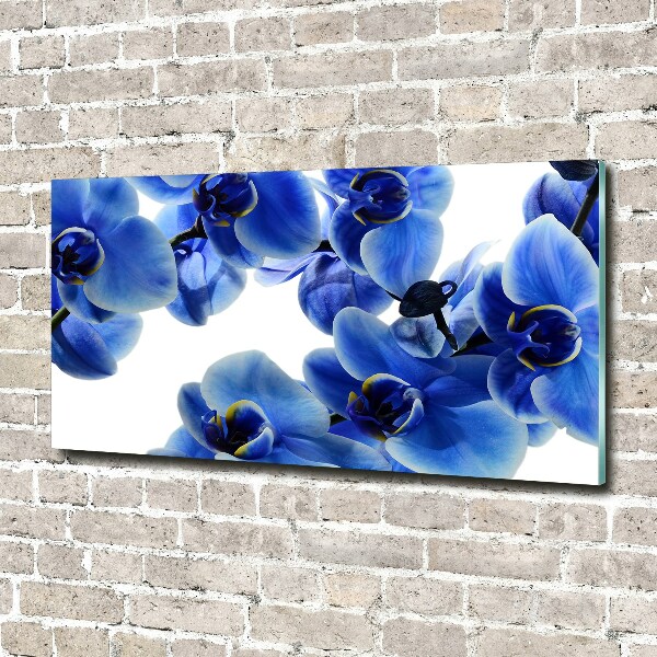 Print on acrylic Blue orchid