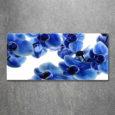 Print on acrylic Blue orchid