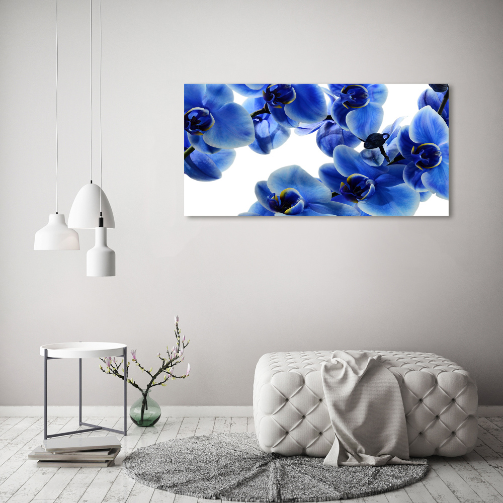 Print on acrylic Blue orchid