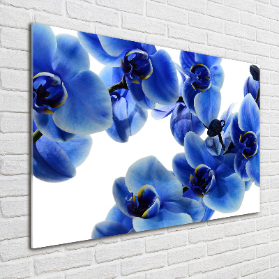 Print on acrylic Blue orchid