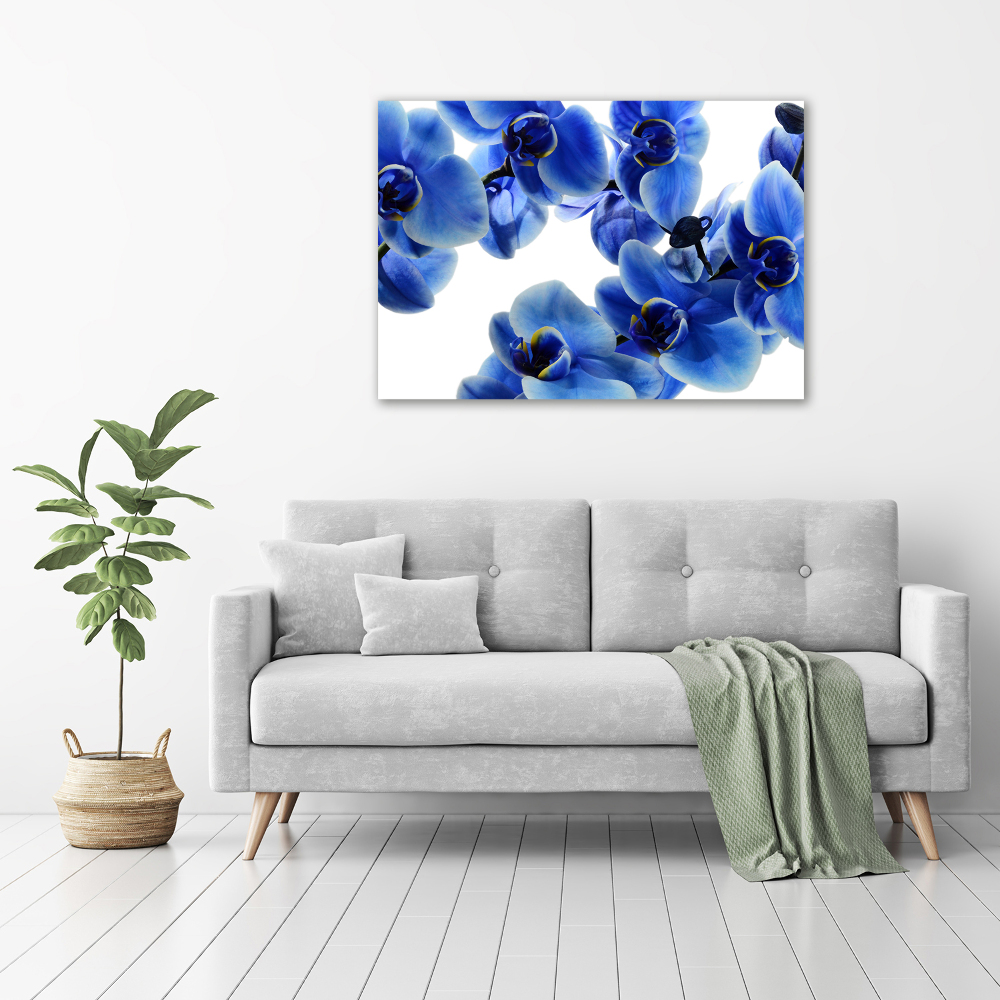 Print on acrylic Blue orchid