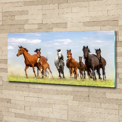 Wall art acrylic Horses at gallop