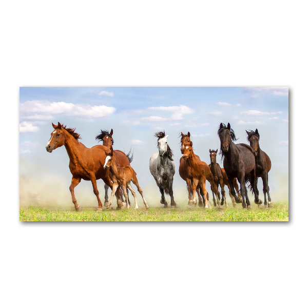 Wall art acrylic Horses at gallop