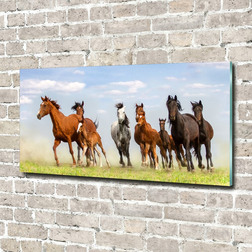 Wall art acrylic Horses at gallop