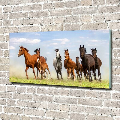 Wall art acrylic Horses at gallop