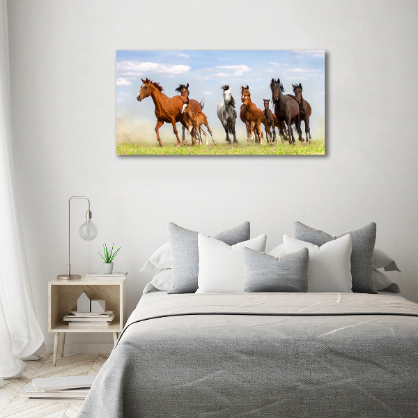 Wall art acrylic Horses at gallop