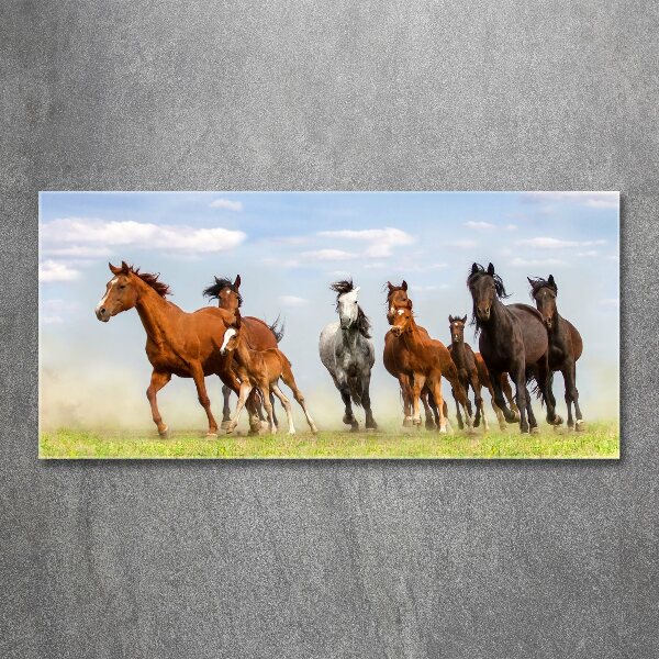 Wall art acrylic Horses at gallop