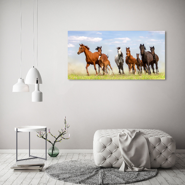 Wall art acrylic Horses at gallop