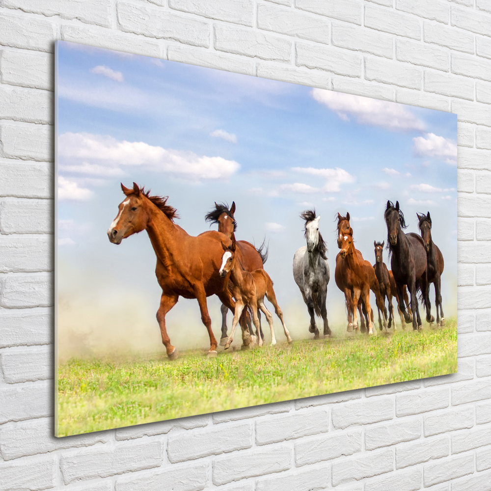 Wall art acrylic Horses at gallop