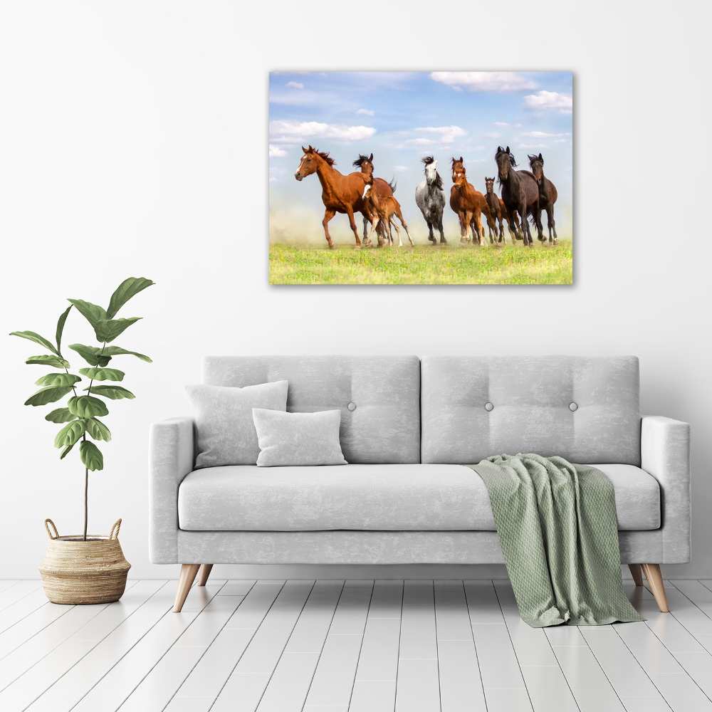 Wall art acrylic Horses at gallop