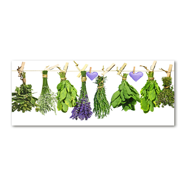 Print on acrylic Herbs on a string