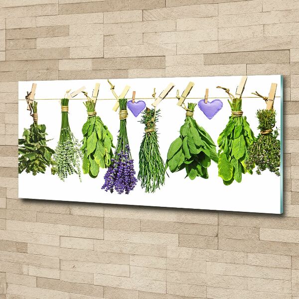 Print on acrylic Herbs on a string