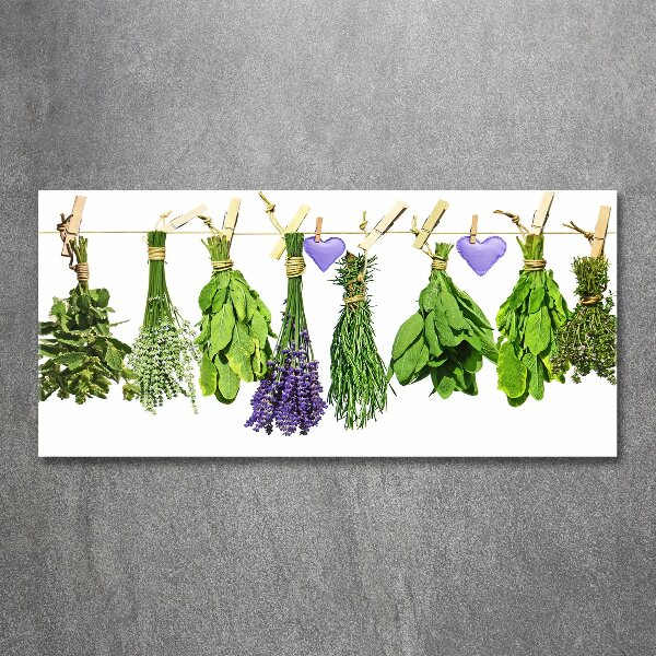 Print on acrylic Herbs on a string