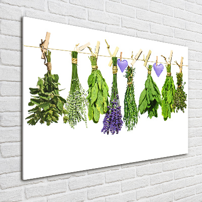 Print on acrylic Herbs on a string