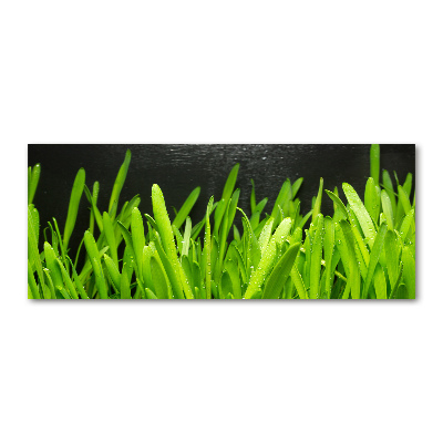 Print on acrylic Grass